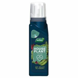 WESTLAND HOUSEPLANT FEED